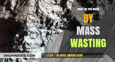 Understanding Mass Wasting: Causes, Effects, and Prevention Strategies
