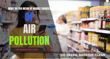 Mobile Sources of Air Pollution: Understanding the Impact