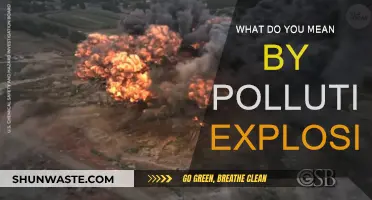 The Pollution Explosion: A Global Crisis