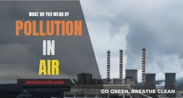 Air Pollution: Understanding the Toxic Air We Breathe