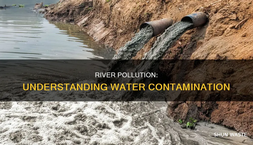 what do you mean by pollution of river water