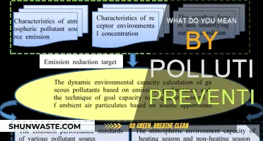 Preventing Pollution: Strategies for a Sustainable Future