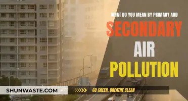 Air Pollution: Primary vs. Secondary