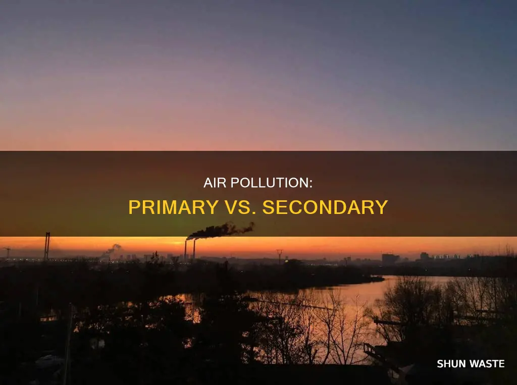 what do you mean by primary and secondary air pollution