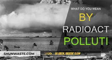 Radioactive Pollution: Understanding Its Meaning and Impact