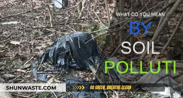 Soil Pollution: Understanding the Contamination Crisis