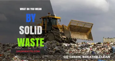 Understanding Solid Waste: A Comprehensive Guide to Waste Management