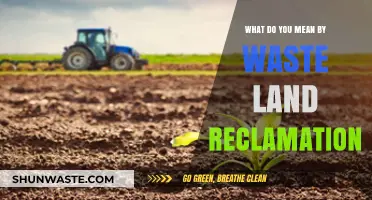 Reviving Forgotten Spaces: The Art of Waste Land Reclamation