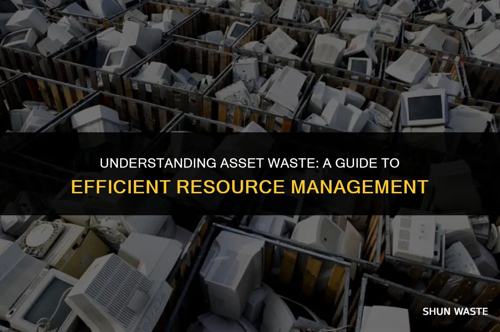 what do you mean by wasting assets