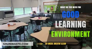 Creating Optimal Learning Spaces: Essential Elements for Effective Education