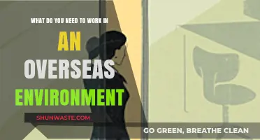 Essential Skills and Tools for Thriving in Overseas Work Environments