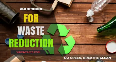 Exploring Effective Strategies for Waste Reduction: A Comprehensive Guide
