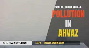 Ahvaz's Air Pollution: A City's Health Crisis