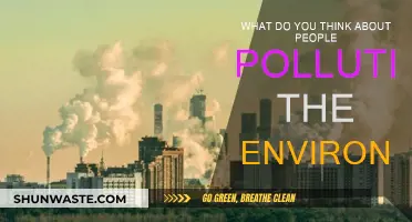 Human Impact: Environmental Pollution and Our Future