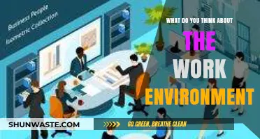 Exploring the Impact of Work Environment on Employee Productivity and Satisfaction