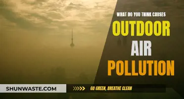 Unveiling the Sources: Understanding Outdoor Air Pollution