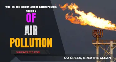 Human-Caused Air Pollution: Understanding Anthropogenic Sources