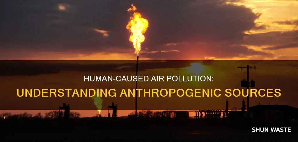 what do you understand by anthropogenic sources of air pollution