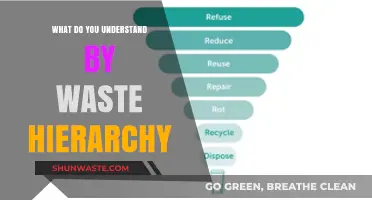Exploring the Waste Hierarchy: A Guide to Sustainable Practices