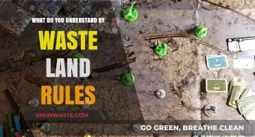 Decoding the Enigma: A Deep Dive into Wasteland Rules