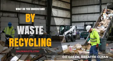 Sustainable Practices: Unraveling the Concept of Waste Recycling