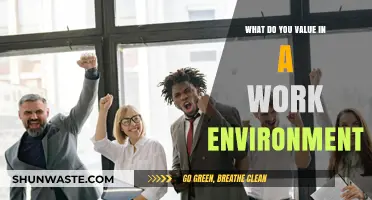 Cultivating Success: Key Values for a Thriving Work Environment