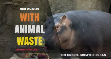 Eco-Friendly Solutions: How Zoos Manage and Recycle Animal Waste