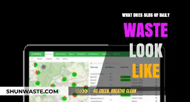 Visualizing the Heft: A Day's Worth of Waste in Perspective