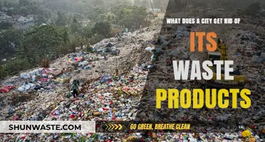 Urban Waste Management: How Cities Dispose of Their Waste Products