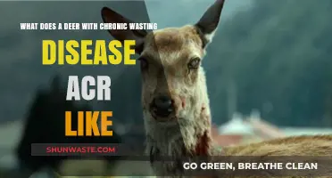 Understanding Chronic Wasting Disease in Deer: A Comprehensive Guide