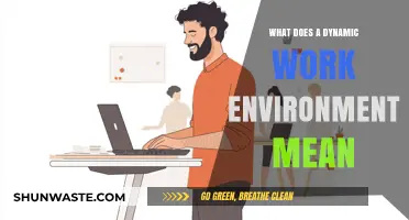 Understanding the Essence of a Dynamic Work Environment: Key Insights