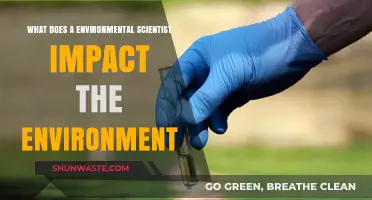 How Environmental Scientists Drive Positive Change for Our Planet