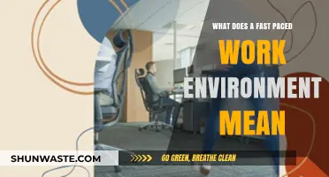 Understanding the Dynamics of a Fast-Paced Work Environment