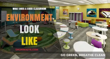 Creating Engaging, Supportive, and Productive Classroom Environments for Learning