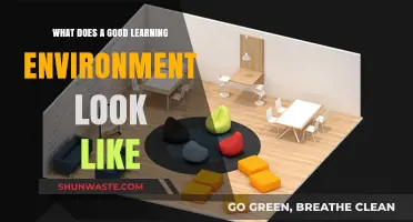 Creating Ideal Learning Spaces: Key Elements for Effective Education