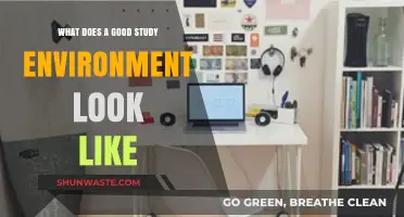 Creating the Perfect Study Space: Key Elements for Focus and Productivity