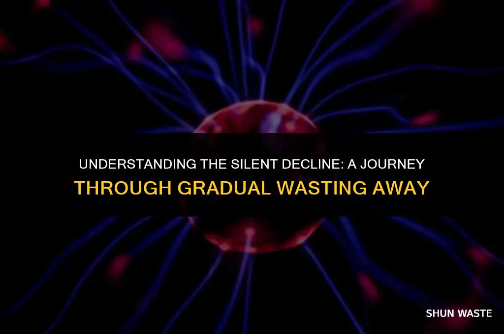 what does a gradual wasting away of the person mean