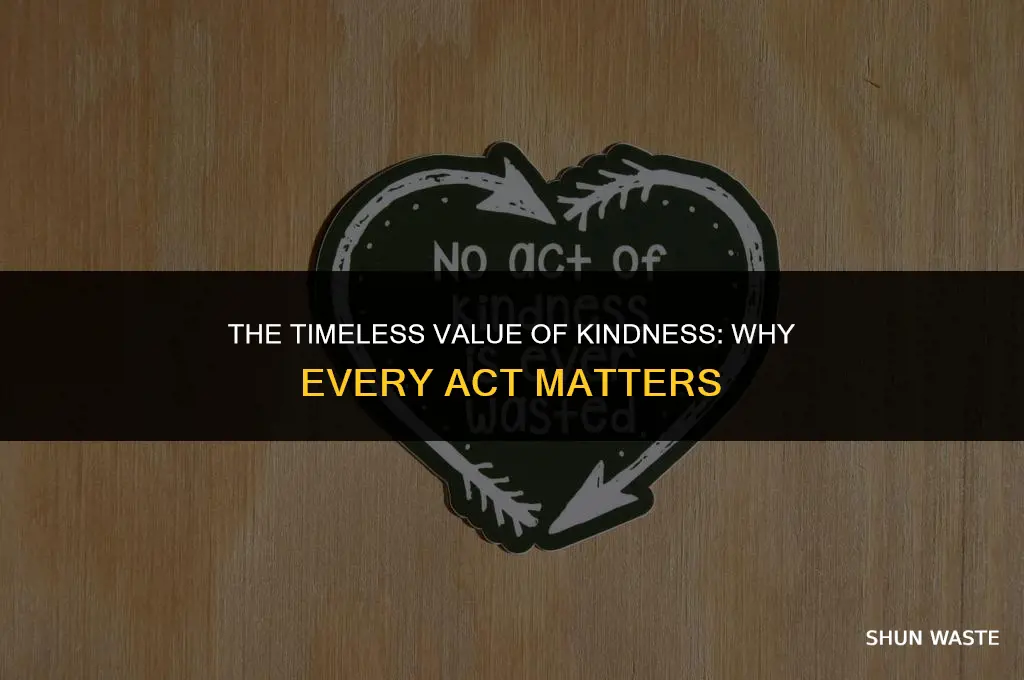 what does a kindness is never wasted mean