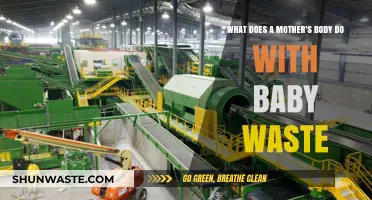 The Amazing Process: How a Mother's Body Handles Baby Waste