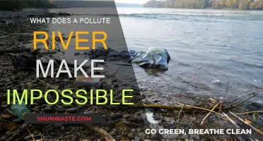 How Polluted Rivers Make Life Impossible