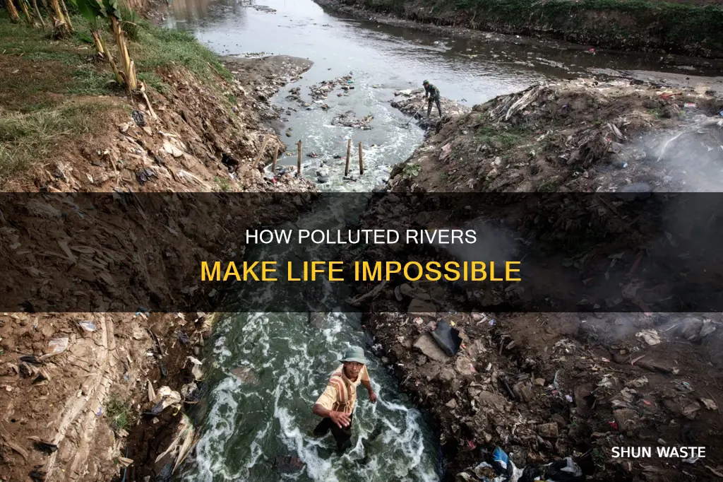 what does a pollute river make impossible