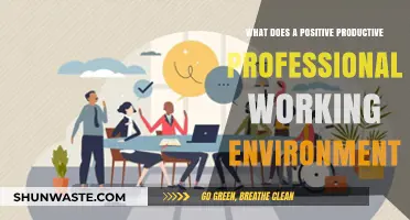 Fostering a Positive, Productive, and Professional Workplace Culture