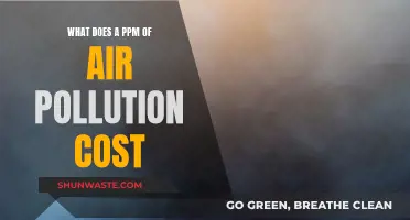 Air Pollution's Cost: PPM's Impact