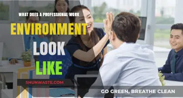 Creating a Professional Work Environment: Key Elements for Success
