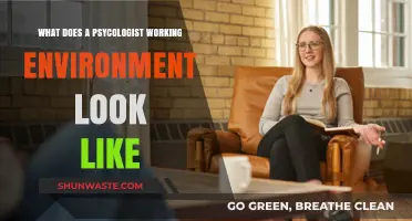 Exploring the Typical Work Environment of a Psychologist