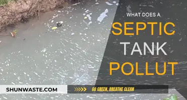 Septic Tank Pollution: Understanding the Environmental Impact