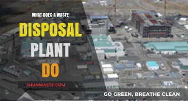 Exploring the Inner Workings of Waste Disposal Plants