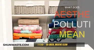 Aesthetic Pollution: Understanding Visual Pollution