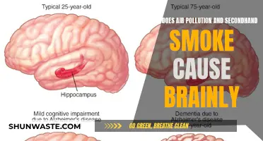 Unveiling the Hidden Dangers: Air Pollution and Secondhand Smoke's Impact on the Brain