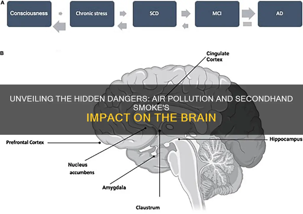 what does air pollution and secondhand smoke cause brainly